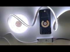 RoHS Certified LED Strip Lights Series in 6.5FT Length with Warm White Color