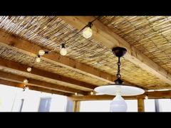 Solar led light ST38