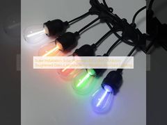 Stake Installation Solar Powered LED Lights Outdoors Toughened Glass Lampshade for Weather-Resistant Lighting