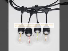 Auto On/Off Solar Outdoor Lights with Waterproof Design and Toughened Glass Lampshade