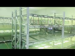 Production Time to aging