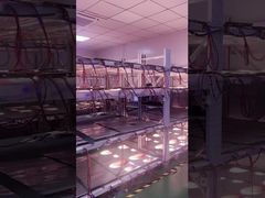 Working of the transparent screen